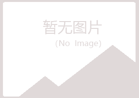 钦州钦南夏岚金融有限公司